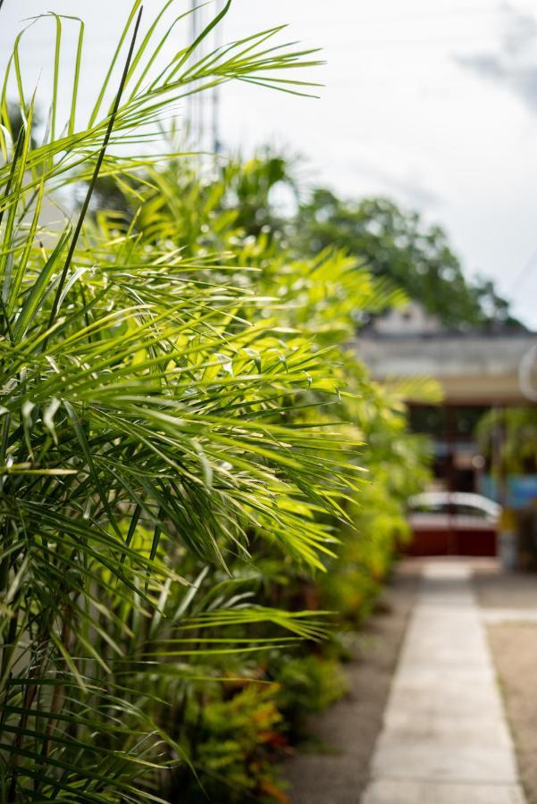 Casa Sabina Bacalar Hotel Buitenkant foto